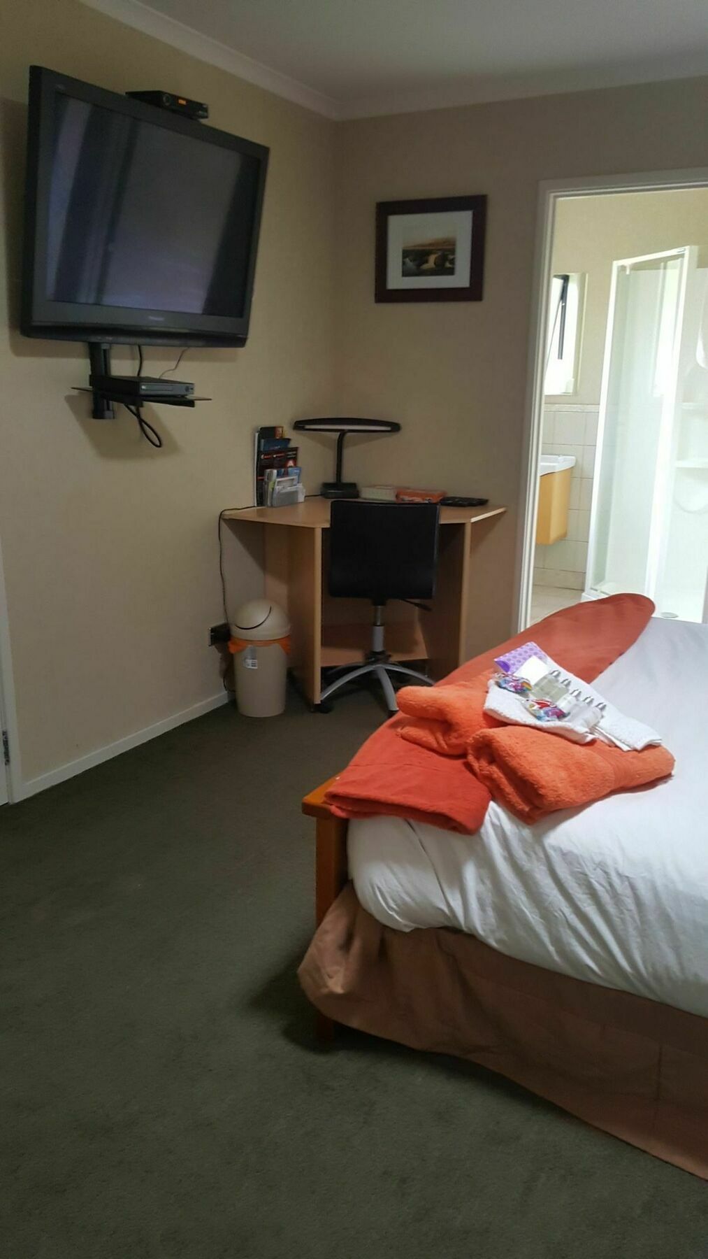 Heta Road B&B New Plymouth Exterior foto